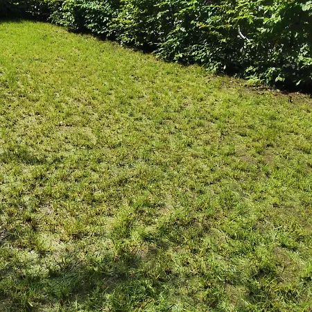Appartement Near Fair And In Few Min, With Garden Frankfurt am Main