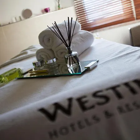 The Westin Grand Frankfurt Fráncfort del Meno