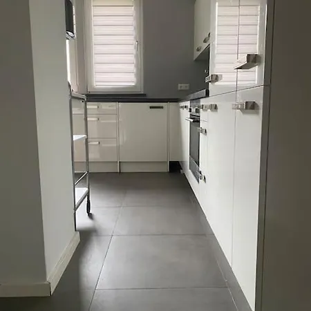 Frankfurt Panda Cozy Premium