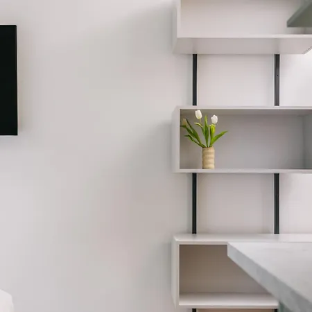 Homaris Frankfurt * 프랑크푸르트