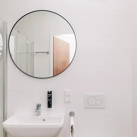 Homaris Frankfurt 프랑크푸르트