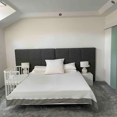 Apartment Penthouse Loft Style Rooftop Terrace Ecb View Frankfurt am Main