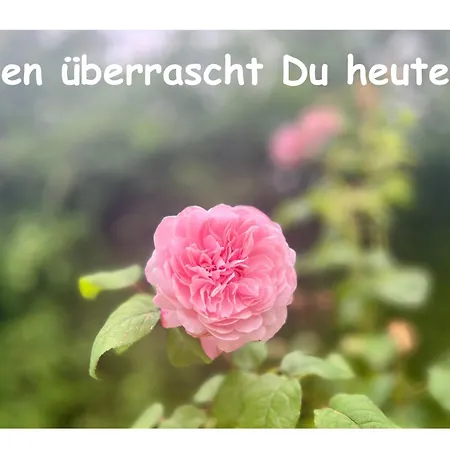 Romantik Pur - Schlafen Unter Dem Sternenhimmel Luxe tent