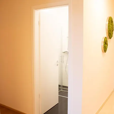 Luxus-penthouse Im Zentrum Apartment