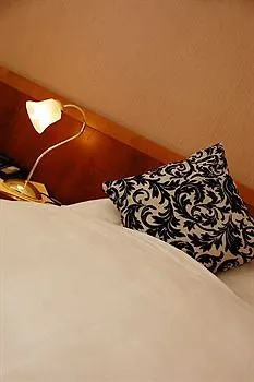 戴安娜菲儿别墅酒店 3* 美因河畔法兰克福
