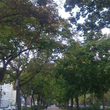 弗兰肯河畔旅馆 3* 美因河畔法兰克福