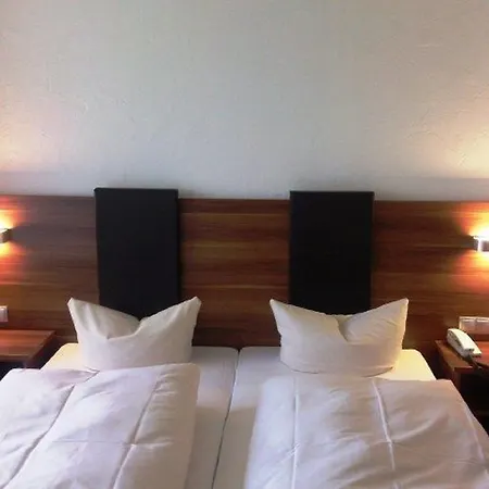 Otel Wasgau 3*