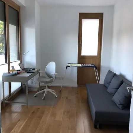 Exklusive Premium Mit Blick Auf Main