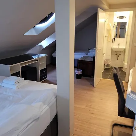 弗兰肯河畔旅馆 酒店 3*