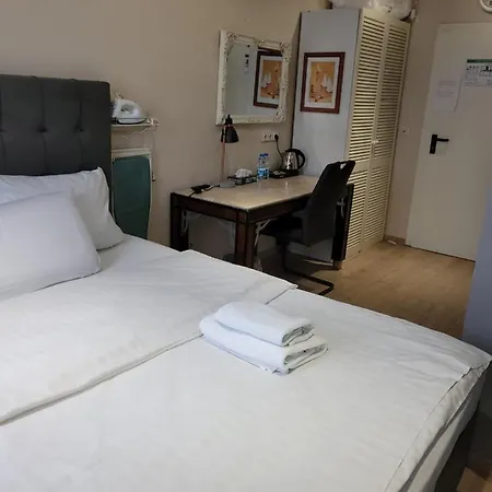 弗兰肯河畔旅馆 酒店 3*