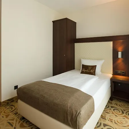 Schopenhauer Hof Hotel 4*