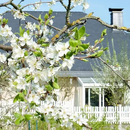 Nocleg ze śniadaniem Orchard Frankfurt 5*