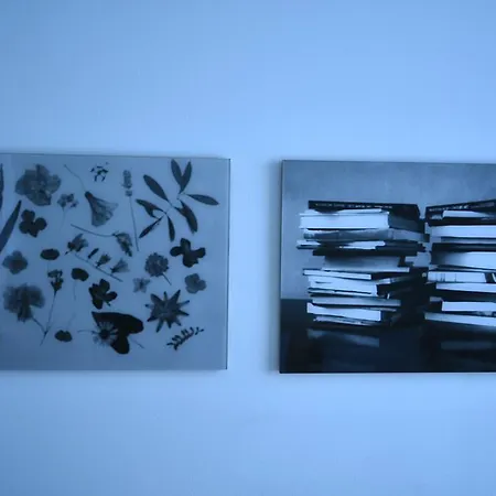 Art-hotel Robert Mayer 3* Fráncfort del Meno