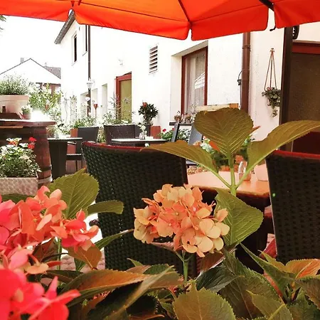 Zum Loewen Hotel Mörfelden-Walldorf