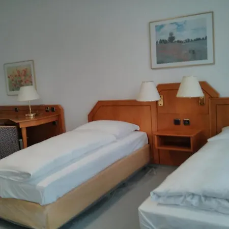 Willy Frankfurt 3* Франкфурт-на-Майне