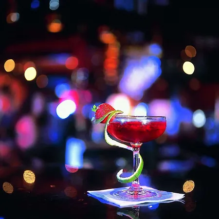 玛丽蒂姆法兰克福酒店 酒店 美因河畔法兰克福