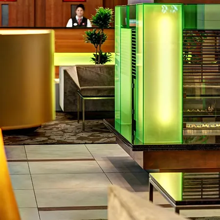 Ξενοδοχείο Hilton Garden Frankfurt Airport