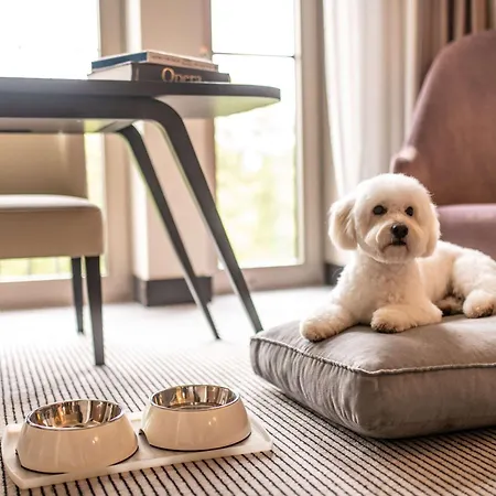 Hotell Sofitel Frankfurt Opera