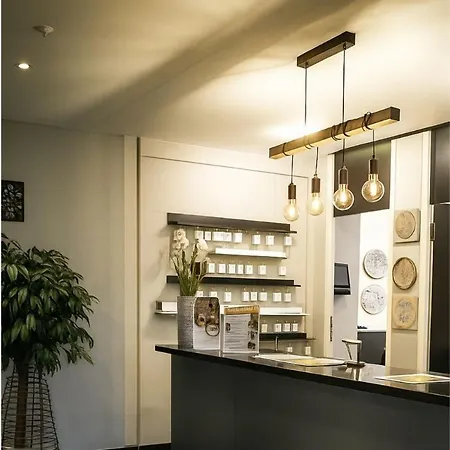 Plaza & Living Frankfurt 3* Φραγκφούρτη