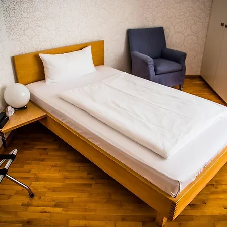 Hotel Art-hotel Robert Mayer 3*