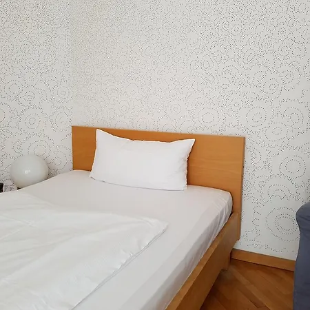 Hotel Art-hotel Robert Mayer 3*