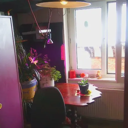 Citycentre For 1 Female Persons - Alternative 1 Child ホームステイ *